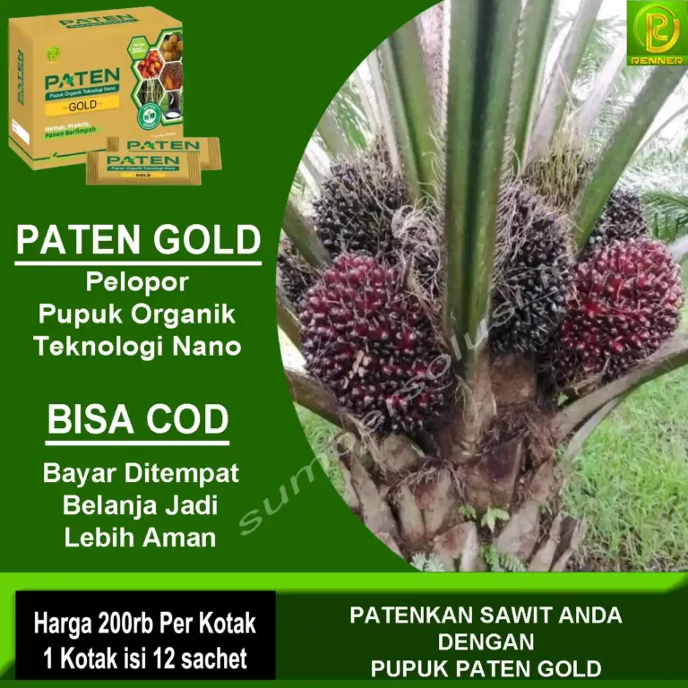 Pupuk sawit paten